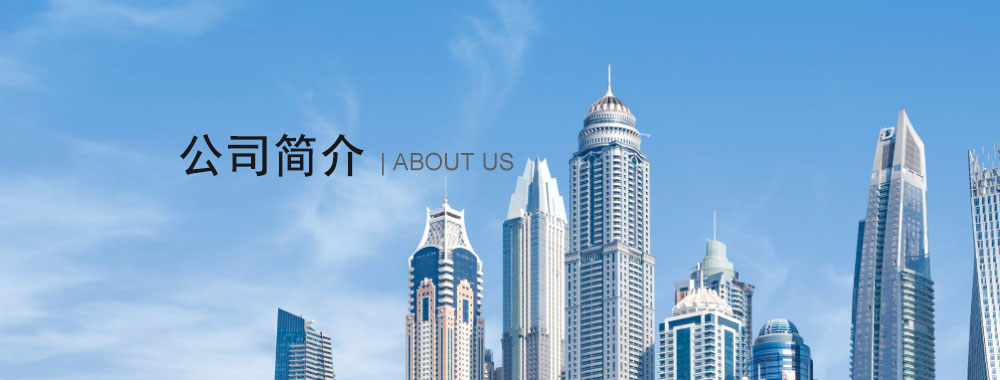 公司簡(jiǎn)介
